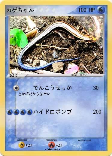 Pokemon カゲちゃん