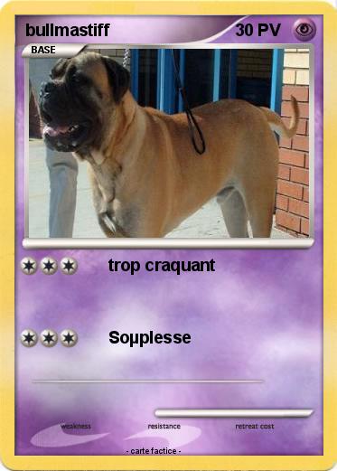 Pokemon bullmastiff