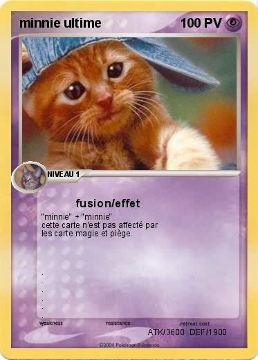 Pokemon minnie ultime