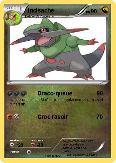 Pokemon Incisache