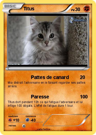 Pokemon Titus