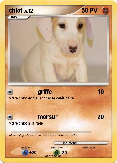 Pokemon chiot