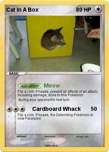 Pokemon Cat In A Box