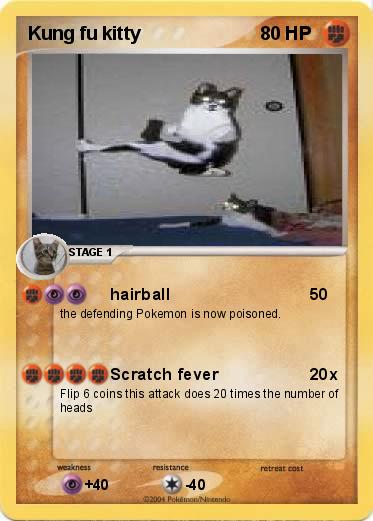 Pokemon Kung fu kitty