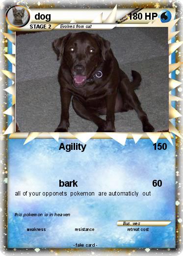 Pokemon dog