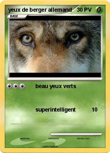 Pokemon yeux de berger allemand