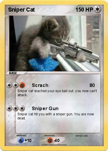 Pokemon Sniper Cat