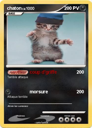 Pokemon chaton