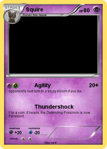 Pokemon Squire