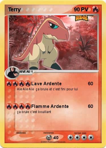 Pokemon Terry