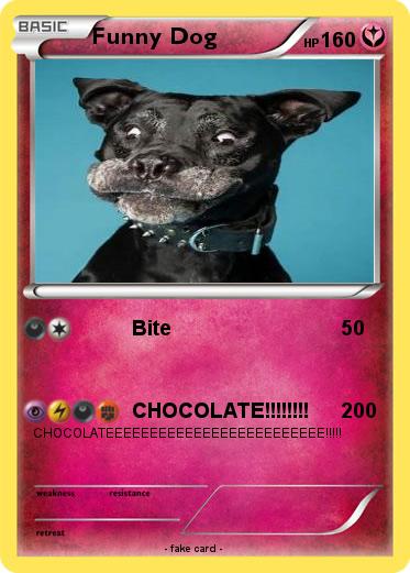 Pokemon Funny Dog