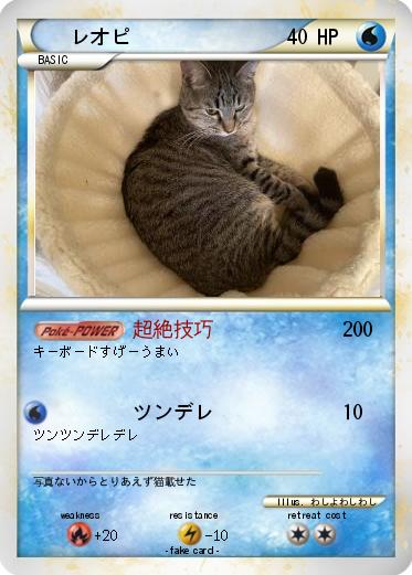 Pokemon レオピ