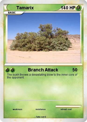 Pokemon Tamarix
