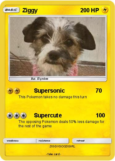 Pokemon Ziggy