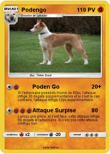 Pokemon Podengo