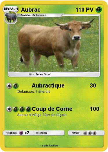 Pokemon Aubrac
