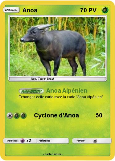 Pokemon Anoa