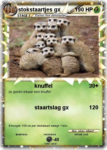 Pokemon stokstaartjes gx