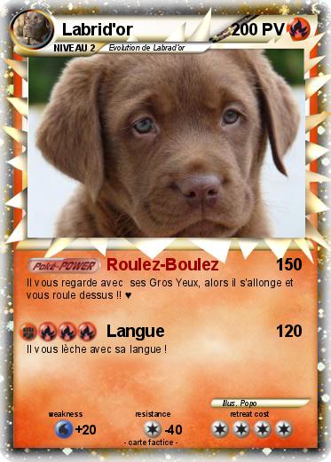 Pokemon Labrid'or