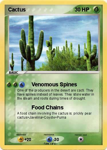 Pokemon Cactus