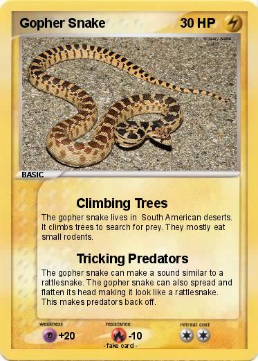 Pokemon Gopher Snake