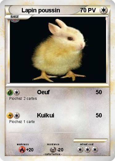 Pokemon Lapin poussin