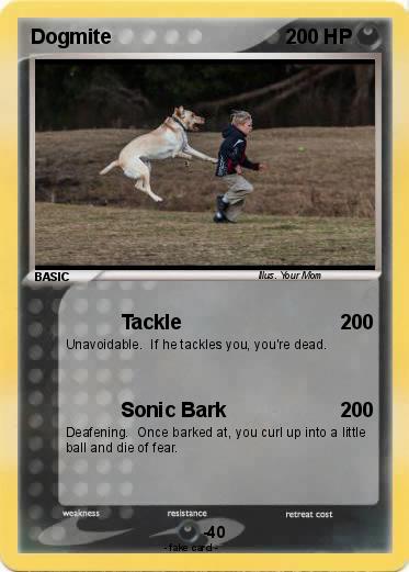 Pokemon Dogmite