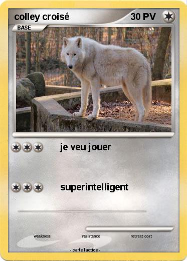 Pokemon colley croisé