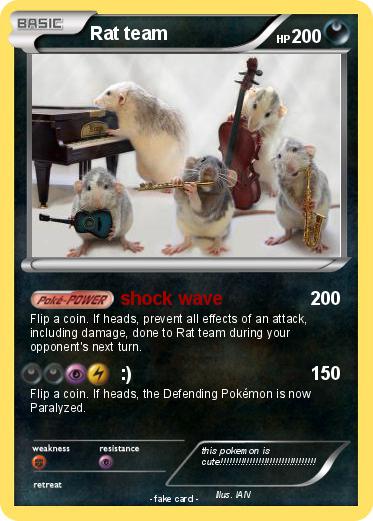 Pokemon Rat team