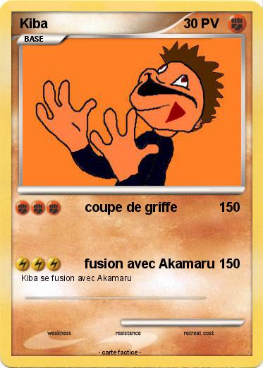 Pokemon Kiba