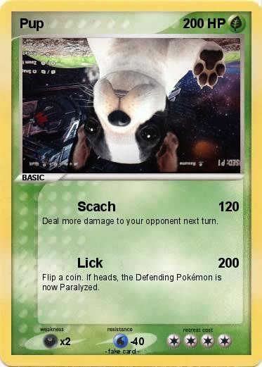 Pokemon Pup