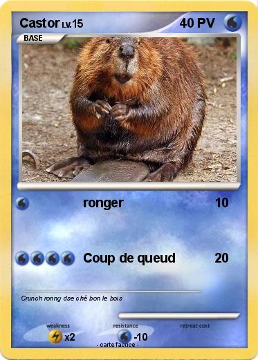 Pokemon Castor