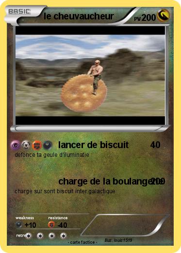 Pokemon le cheuvaucheur