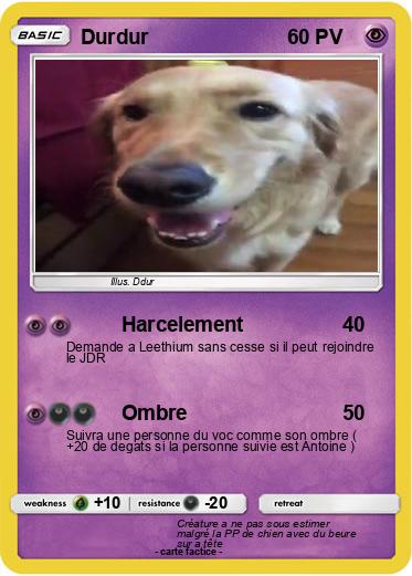Pokemon Durdur
