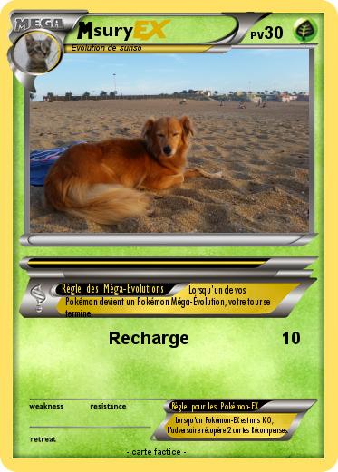 Pokemon sury