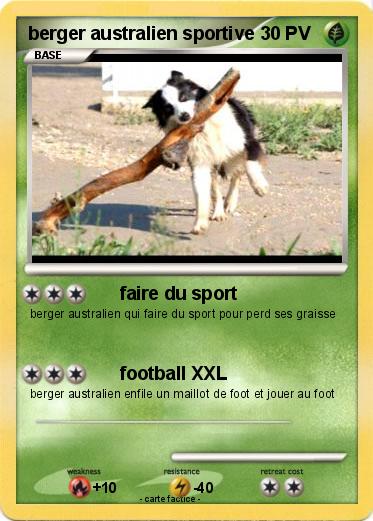 Pokemon berger australien sportive