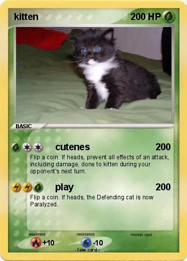 Pokemon kitten