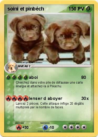 Pokemon soini et pinbéch