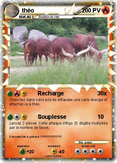 Pokemon théo