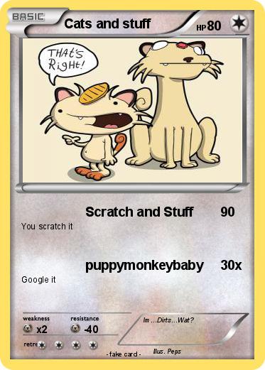 Pokemon Cats and stuff