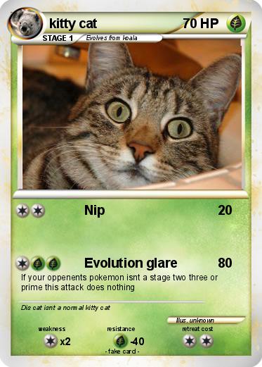Pokemon kitty cat