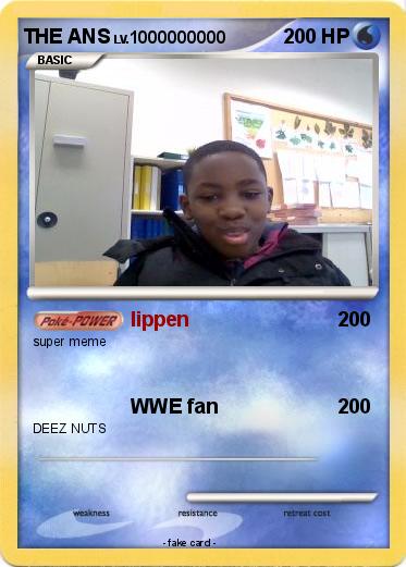 Pokemon THE ANS