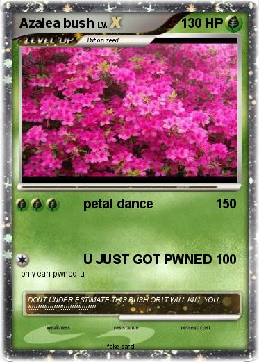 Pokemon Azalea bush