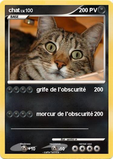 Pokemon chat