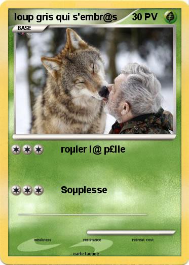Pokemon loup gris qui s'embr@s
