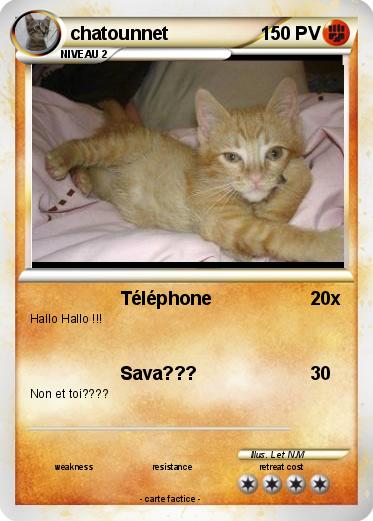 Pokemon chatounnet