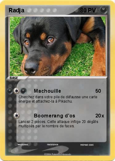 Pokemon Radja