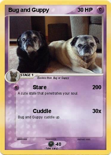 Pokemon Bug and Guppy