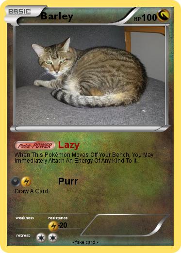 Pokemon Barley