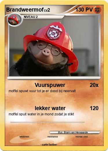 Pokemon Brandweermof